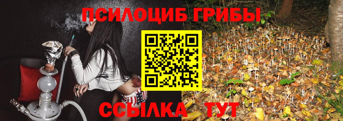 Галлюциногенные грибы Psilocybine cubensis  Вход с VPN  Октябрьский 