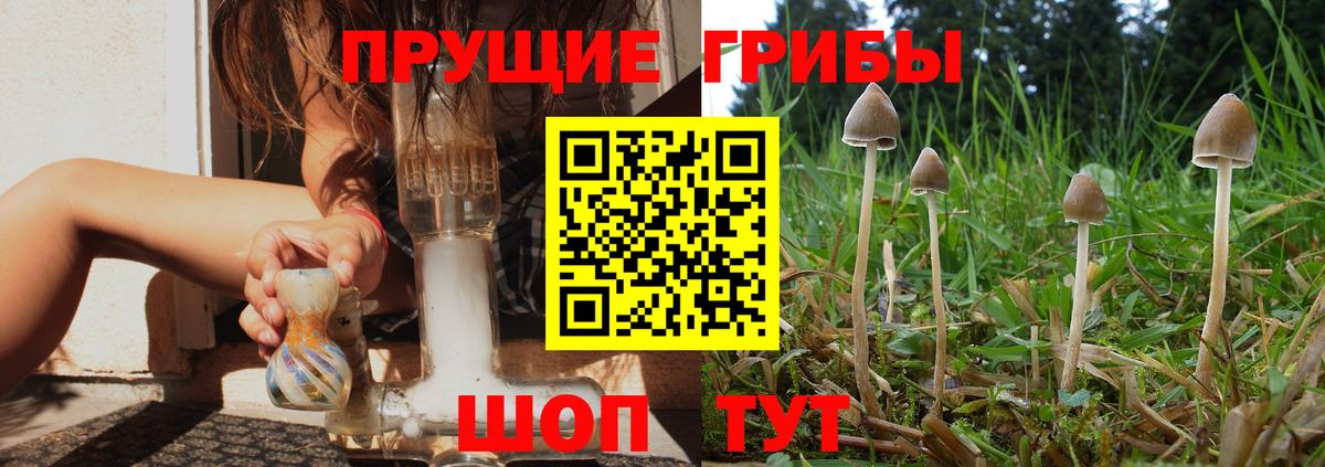 Галлюциногенные грибы ЛСД Октябрьский