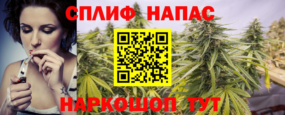 Каннабис MAZAR Октябрьский