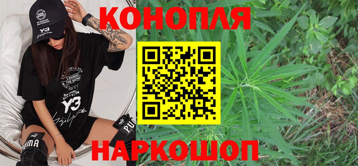 Канабис конопля  Бошки Шишки OG Kush  Каннабис сатива  Вход с VPN  Октябрьский 